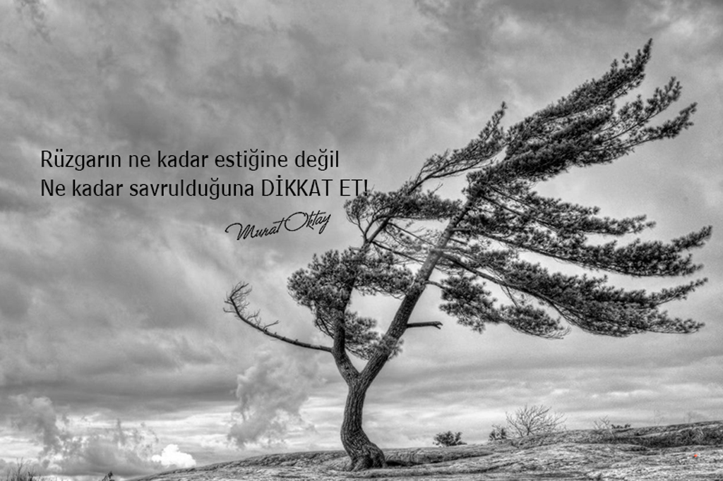 murat oktay soz4